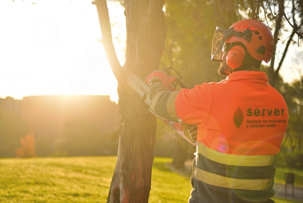 SANJOSE will Provide Green Evaluation and Review Service for Madrid's Trees (SERVER)