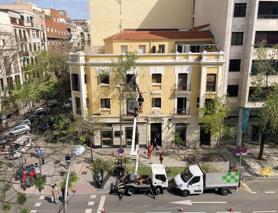 SERVIÇO DE AVALIAÇÃO E REVISÃO VERDE EM MATÉRIA DE ÁRVORES DE MADRID (SERVER)