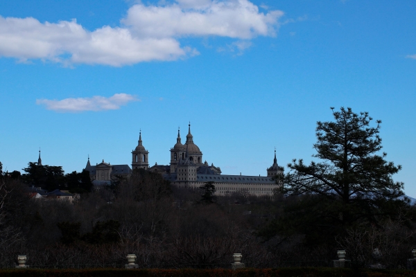 SANJOSE Will Carry Out Restoration of Tree Alignments along the Paseo de Canap&eacute;s in San Lorenzo de El Escorial, Madrid