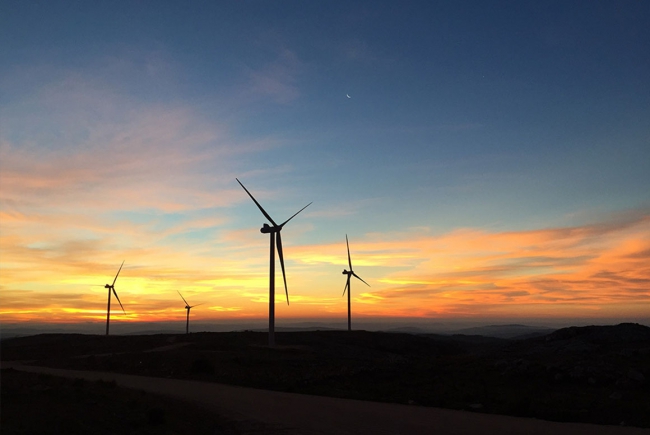 WIND PLANTS IN THE DISTRICT OF MALDONADO