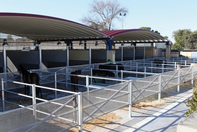 NUEVAS CUADRAS Y MEJORAS EN EL ZOOSANITARIO MUNICIPAL