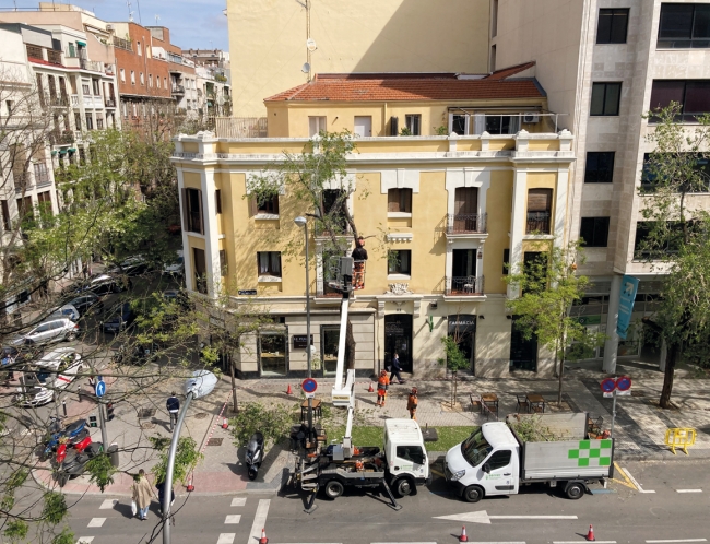 SERVIÇO DE AVALIAÇÃO E REVISÃO VERDE EM MATÉRIA DE ÁRVORES DE MADRID (SERVER)